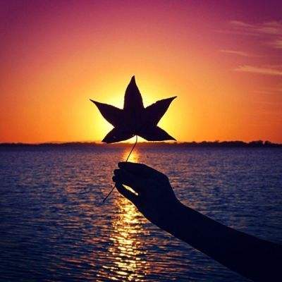 中国激光的底气是什么?未来又在...